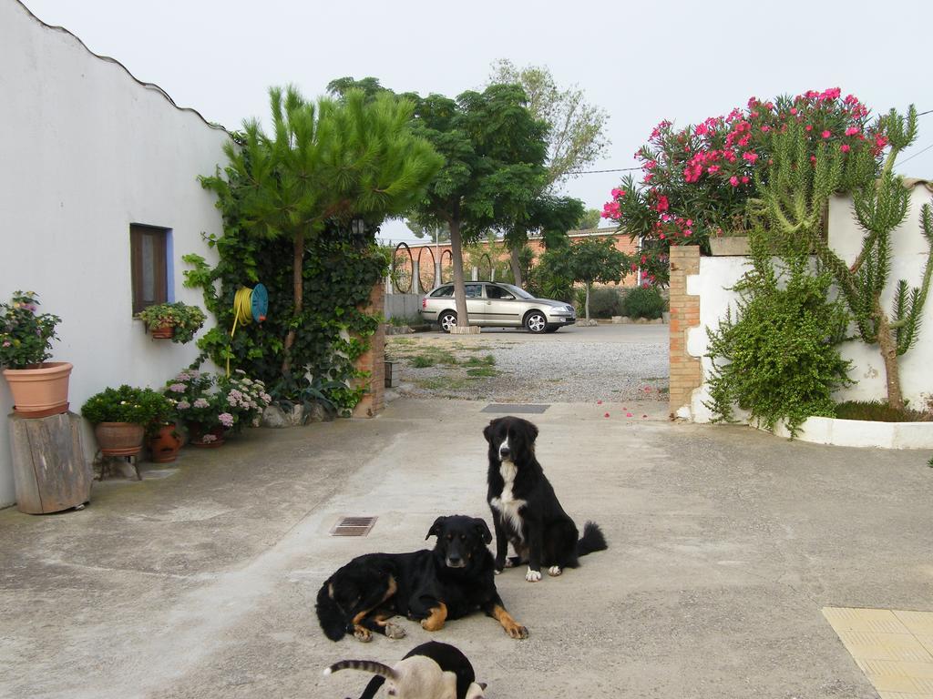 Can Selleretas Vilamacolum Room photo
